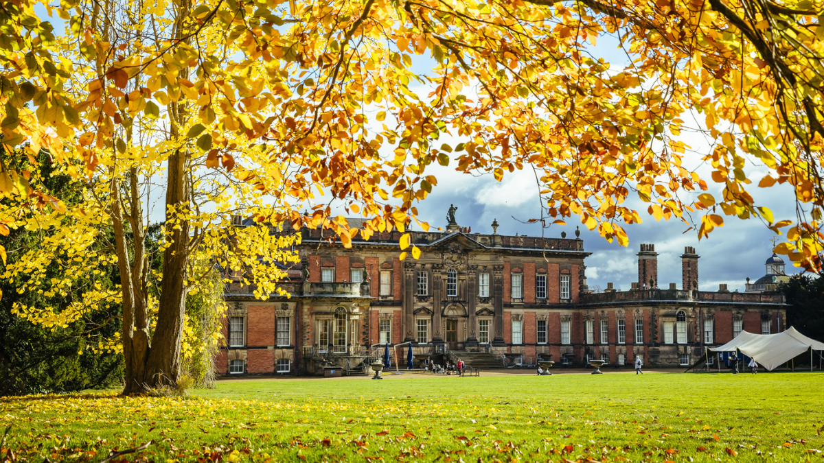 Autumn at Wentworth Woodhouse with autumnal, orange leaves